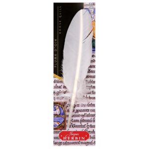 One carved goose feather 21 cm, White