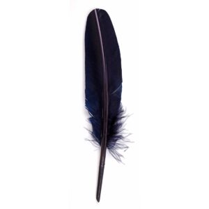 A 21 cm cut goose feather, Bordeaux
