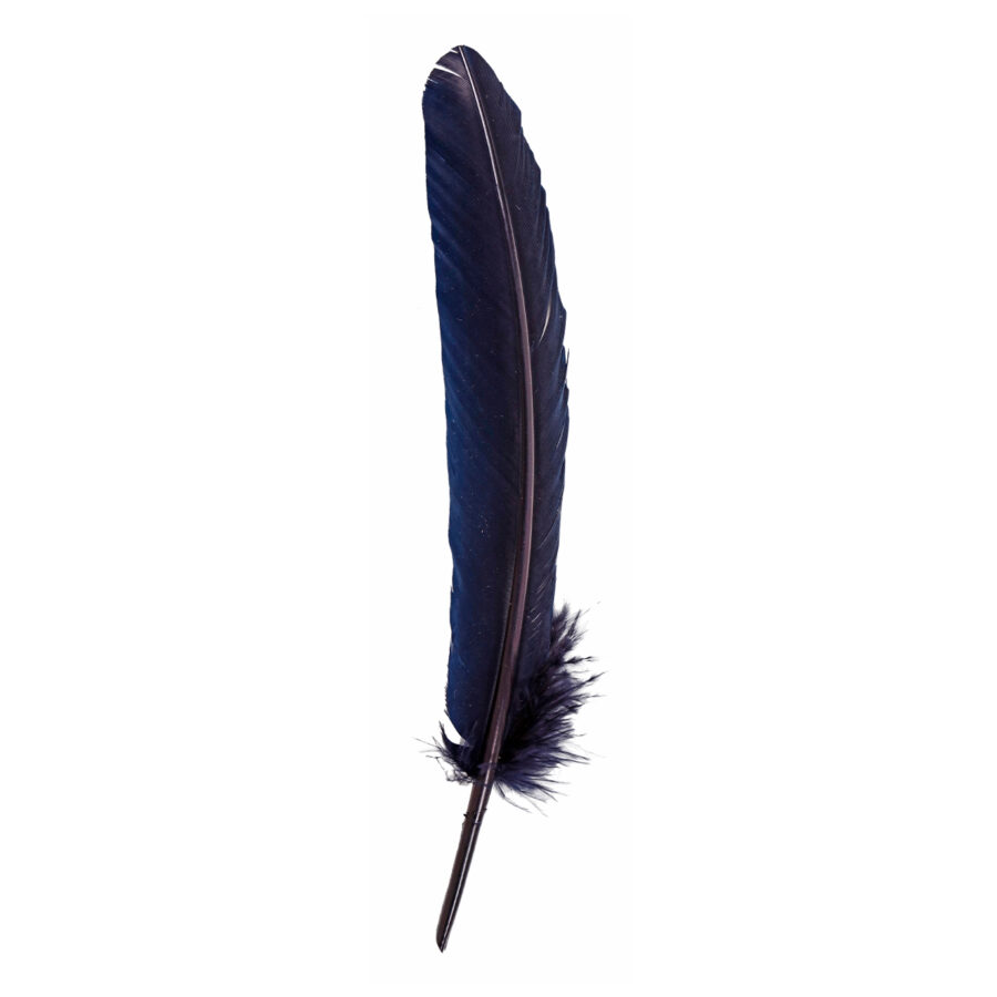 Quill pen 28 cm blue X 10