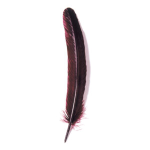 Plume d'oie 28 cm bordeaux X10