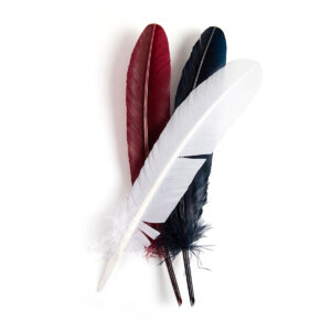 Plumes d'oie 28 cm assortiment marine, bordeaux, blanche X 10