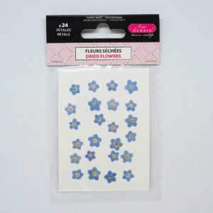 Petites fleurs séchées de myosotis pour bricolage, scrapbooking, carterie créative
